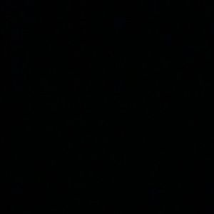 Meet your Posher, Shayla